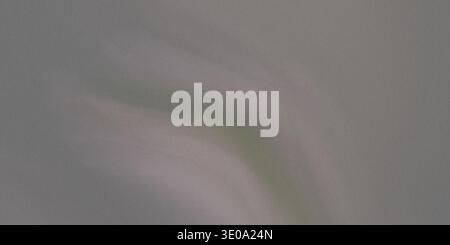 A blurry green and white smudge on a gray textured surface with a rough gray background and a greenish white smudge in the center Stock Photo