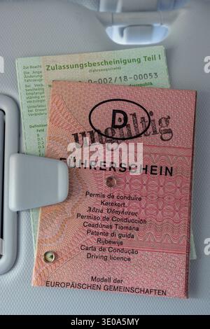 Registration certificate part I, pink paper driver's license, mandatory ...