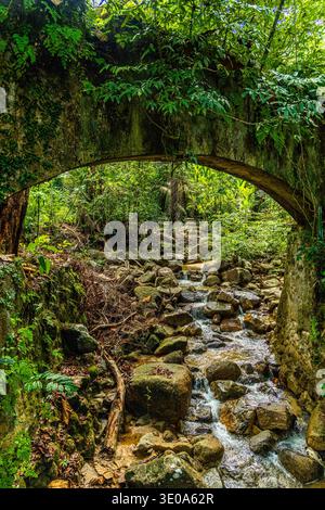 Stone arch bridge covered in moss and vines spanning over a shallow rocky stream in a dense tropical forest, ancient architectural ruins integrated wi Stock Photo