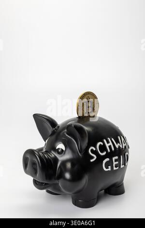 Black piggy bank with lettering 'black money', Bitcoin coin, white background, symbolic image, taxation of cryptocurrencies, fraud, Stock Photo