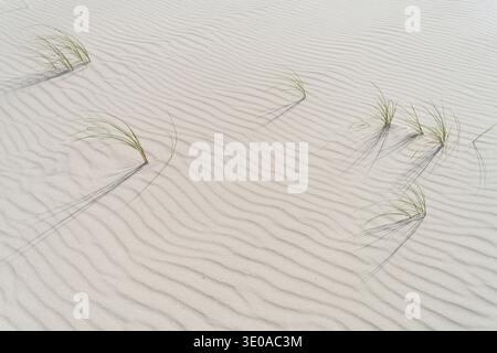 Structures formed by the wind on the beach, individual grasses peek out of the sand, Amrum Island, Schleswig-Holstein Wadden Sea National Park, German Stock Photo