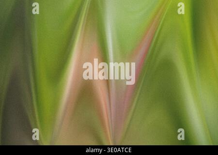 Extreme close-up photograph revealing the fine, slightly fuzzy texture of a green leaf surface, highlighted by a central pinkish-red structure or vein Stock Photo