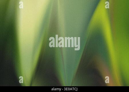 A close-up, abstract representation of green foliage featuring strong textural grain, dramatic light gradients, and deep shadows, creating an energeti Stock Photo