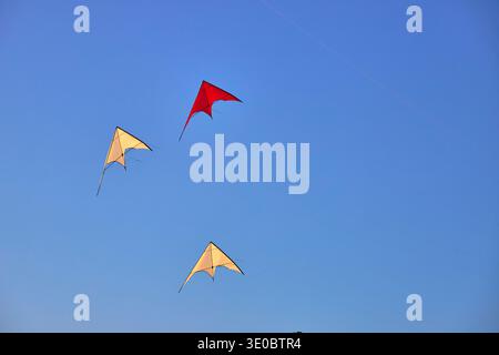 Colorful Kites Flying in Blue Sky at Outdoor Kite Festival Event Stock Photo