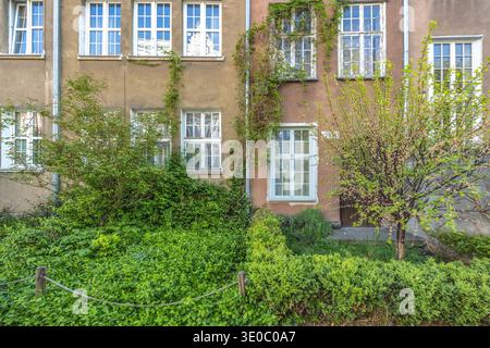 Gdansk, a city on the Baltic coast of northern Poland, Europe. Facade of building with climbing plants, green bushes, and a small tree. The windows Stock Photo