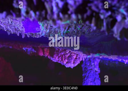 Cave Formations Under Black Light With Neon Colors and Macro Detail Stock Photo