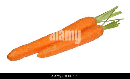 Two fresh carrots isolated on white background Stock Photo
