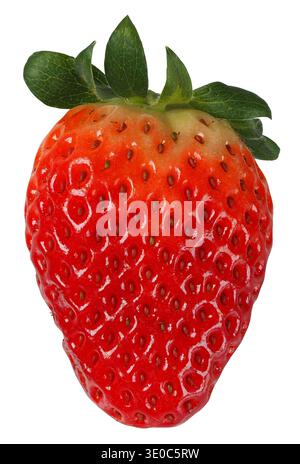 Close-up of a fresh strawberry isolated on white background Stock Photo
