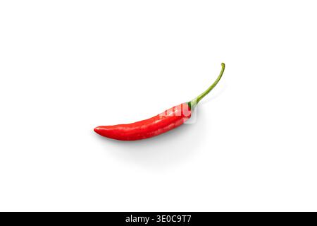 A fresh red chili on a white background Stock Photo