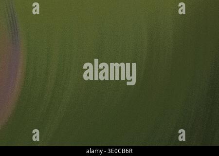 This image showcases a blurry, abstract background featuring a predominantly muted green hue. Subtle variations in shade and texture are visible, crea Stock Photo
