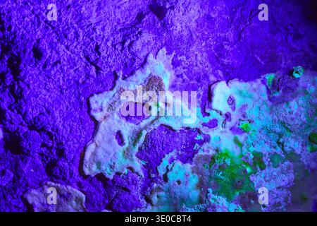 Macro Black Light Mineral Textures in Vibrant Cave Wall Nevada Stock Photo