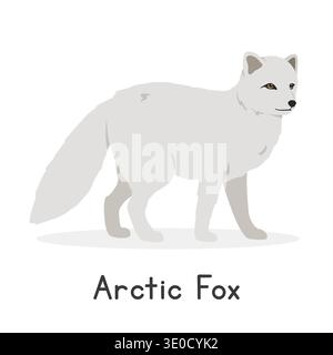 Arctic fox vector illustration, cartoon clipart character, animal in flat style. Wild animals, wild creatures, wildlife concept. White fox, polar fox Stock Vector