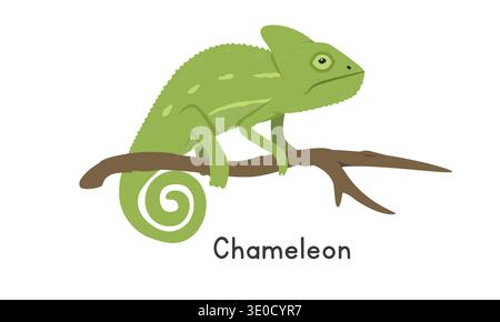 Chameleon on a tree branch vector illustration, cartoon clipart character, animal in flat style. Wild animals, wild creatures, wildlife concept Stock Vector