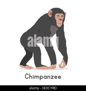 Chimpanzee vector illustration, cartoon clipart character, animal in flat style. Wild animals, wild creatures, wildlife concept. Chimp vector design Stock Vector