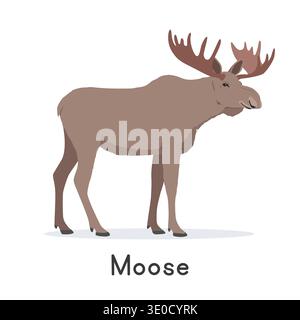 Moose with big horns vector illustration, cartoon clipart character, animal in flat style. Wild animals, wild creatures, wildlife concept Stock Vector