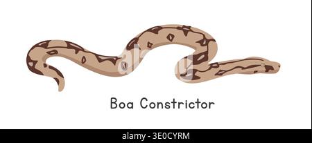 Boa constrictor vector illustration, cartoon clipart character, animal in flat style. Wild animals, wild creatures, wildlife concept Stock Vector