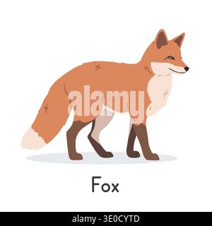 Red fox vector illustration, cartoon clipart character, animal in flat style. Wild animals, wild creatures, wildlife concept. Fox vector design Stock Vector