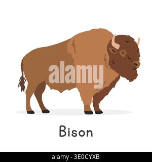 Bison vector illustration, cartoon clipart character, animal in flat style. Wild animals, wild creatures, wildlife concept. Bison vector design Stock Vector