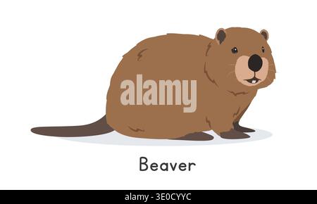 Beaver vector illustration, cartoon clipart character, animal in flat style. Wild animals, wild creatures, wildlife concept. Cute brown beaver Stock Vector