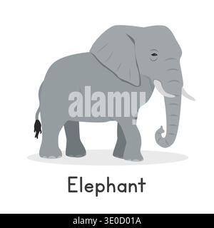 Grey elephant vector illustration, cartoon clipart character, animal in flat style. Wild animals, wild creatures, wildlife concept. Elephant vector Stock Vector