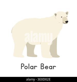 Polar bear vector illustration, cartoon clipart character, animal in flat style. Wild animals, wild creatures, wildlife concept. White bear vector Stock Vector
