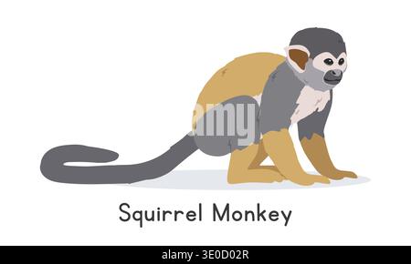 Common squirrel monkey vector illustration, cartoon clipart character, animal in flat style. Wild animals, wild creatures, wildlife concept Stock Vector