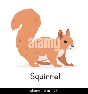 Squirrel vector illustration, cartoon clipart character, animal in flat style. Wild animals, wild creatures, wildlife concept. Squirrel vector design Stock Vector