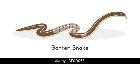 Garter snake vector illustration, cartoon clipart character, animal in flat style. Wild animals, wild creatures, wildlife concept. Snake vector design Stock Vector