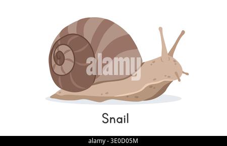 Snail vector illustration, cartoon clipart character, animal in flat style. Wild animals, wild creatures, wildlife concept. Snail vector design Stock Vector
