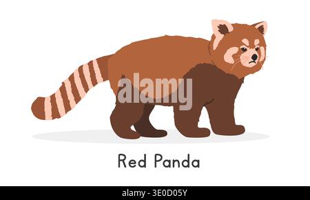 Red panda vector illustration, cartoon clipart character, animal in flat style. Wild animals, wild creatures, wildlife concept. Cute lesser panda Stock Vector