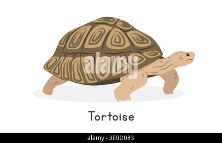 Tortoise vector illustration, cartoon clipart character, animal in flat style. Wild animals, wild creatures, wildlife concept. Tortoise vector design Stock Vector