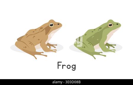 Wood frog and a green frog vector illustration, cartoon clipart character, animal in flat style. Wild animals, wild creatures, wildlife concept Stock Vector
