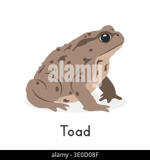 True toad vector illustration, cartoon clipart character, animal in flat style. Wild animals, wild creatures, wildlife concept. Toad with warty skin Stock Vector
