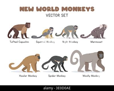 New World monkeys vector illustration set. New World monkey species cartoon clipart set in flat style. Tufted capuchin, squirrel monkey, night monkey Stock Vector