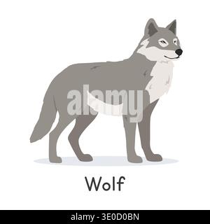 Grey wolf vector illustration, cartoon clipart character, animal in flat style. Wild animals, wild creatures, wildlife concept. Gray wolf vector Stock Vector