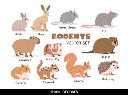 Rodents vector illustration set. Rodent species cartoon clipart set in flat style. Rabbit, hare, mouse, rat, capybara, beaver, hamster, squirrel Stock Vector