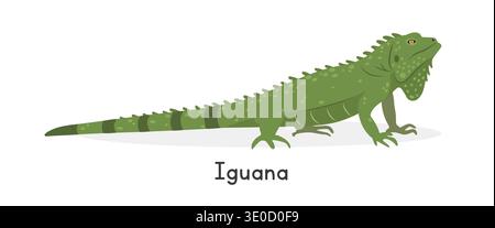 Green iguana vector illustration, cartoon clipart character, animal in flat style. Wild animals, wild creatures, wildlife concept. Iguana vector Stock Vector