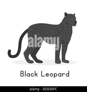 Black leopard vector illustration, cartoon clipart character, animal in flat style. Wild animals, wild creatures, wildlife concept Stock Vector
