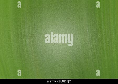 This image showcases a digitally created abstract background featuring a gradient of green hues and subtle vertical lines, creating a textured effect. Stock Photo