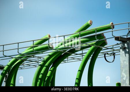 19.08.2025, Germany, Ottweiler-Steinbach, Saarland - Power cables cut off for copper theft from a switching station for a solar park in the countrysid Stock Photo