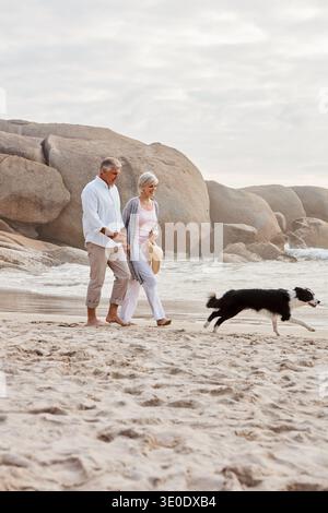 Old couple, holding hands and walk with dog on beach for pet, vacation and happy with romance. Outdoor, elderly man and senior woman with domestic Stock Photo