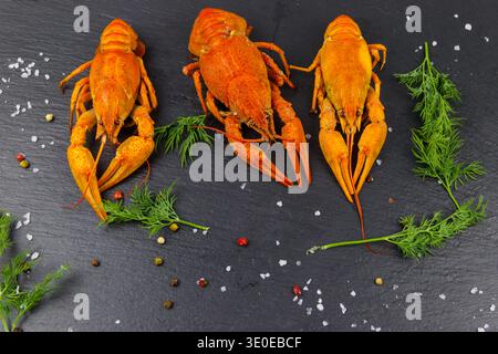 Red boiled crayfish with dill and spices on black slate background. Top view Stock Photo