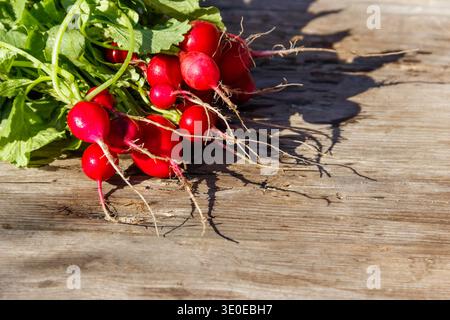 Fresh red radish with leaves on rustic wooden table Stock Photo