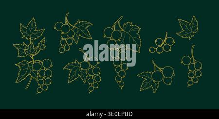Luxury Golden Currant Line Art. Elegant Botanical Gold Berry Branches, Leaves on Dark Green Background Set. Isolated Outline Hand-Drawn Elements. Vect Stock Vector