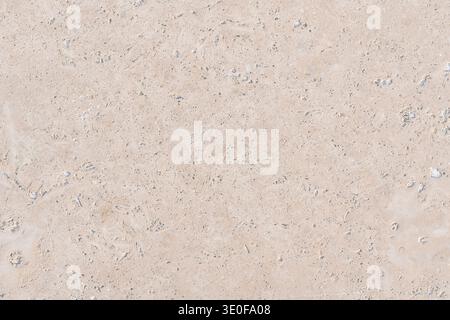 Close-up of a natural beige limestone surface. High-quality macro texture showing fossil inclusions and porous details, marble-like stone background Stock Photo
