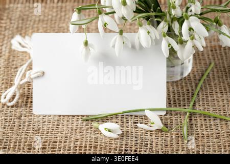 Spring floral vintage card. First wild white snowdrop flowers (Galanthus nivalis) with blank card on rustic burlap background. Bouquet of blooming sno Stock Photo