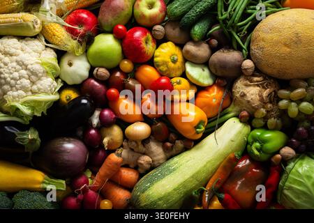 Fresh vegetables and fruits are arranged on a dark surface, showing a variety of colors and shapes. This was captured after a recent harvest from a local farm Stock Photo