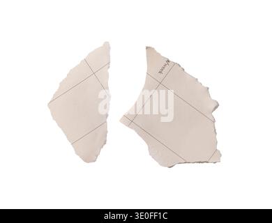 torn beige paper fragments with guide lines isolated on white background. Soft sheet parts with irregular edges Stock Photo