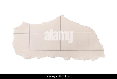 torn paper fragment with printed grid lines isolated on white background. Soft matte surface and teared irregular edges Stock Photo