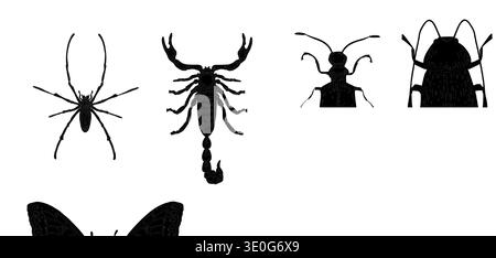 Vector clipart of various insect, beetles and arachnid monochrome silhouettes isolated on white background. Bugs, spiders, scorpion, and butterfly Stock Vector